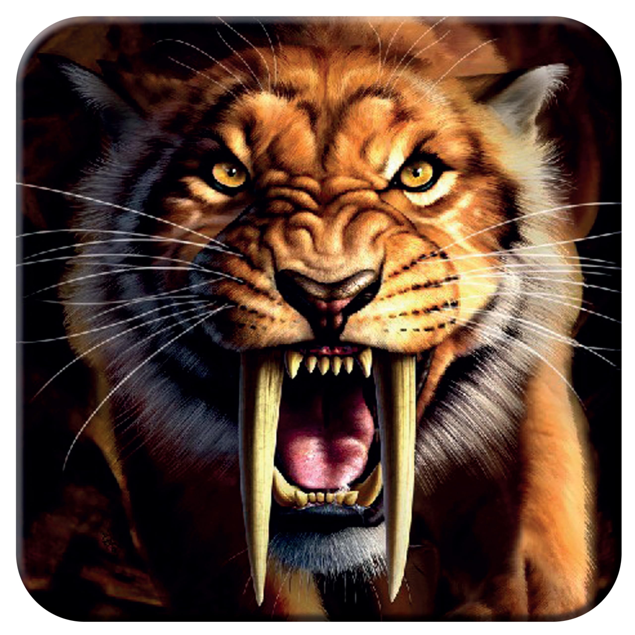 3D LiveLife Cork Coaster - Sabertooth from Deluxebase. Lenticular 3D Sabertooth Tiger Drink & Mug Coasters. Fun Animal Gifts for Women and Men. Novelty Kitchen and Decorative Home Accessories.