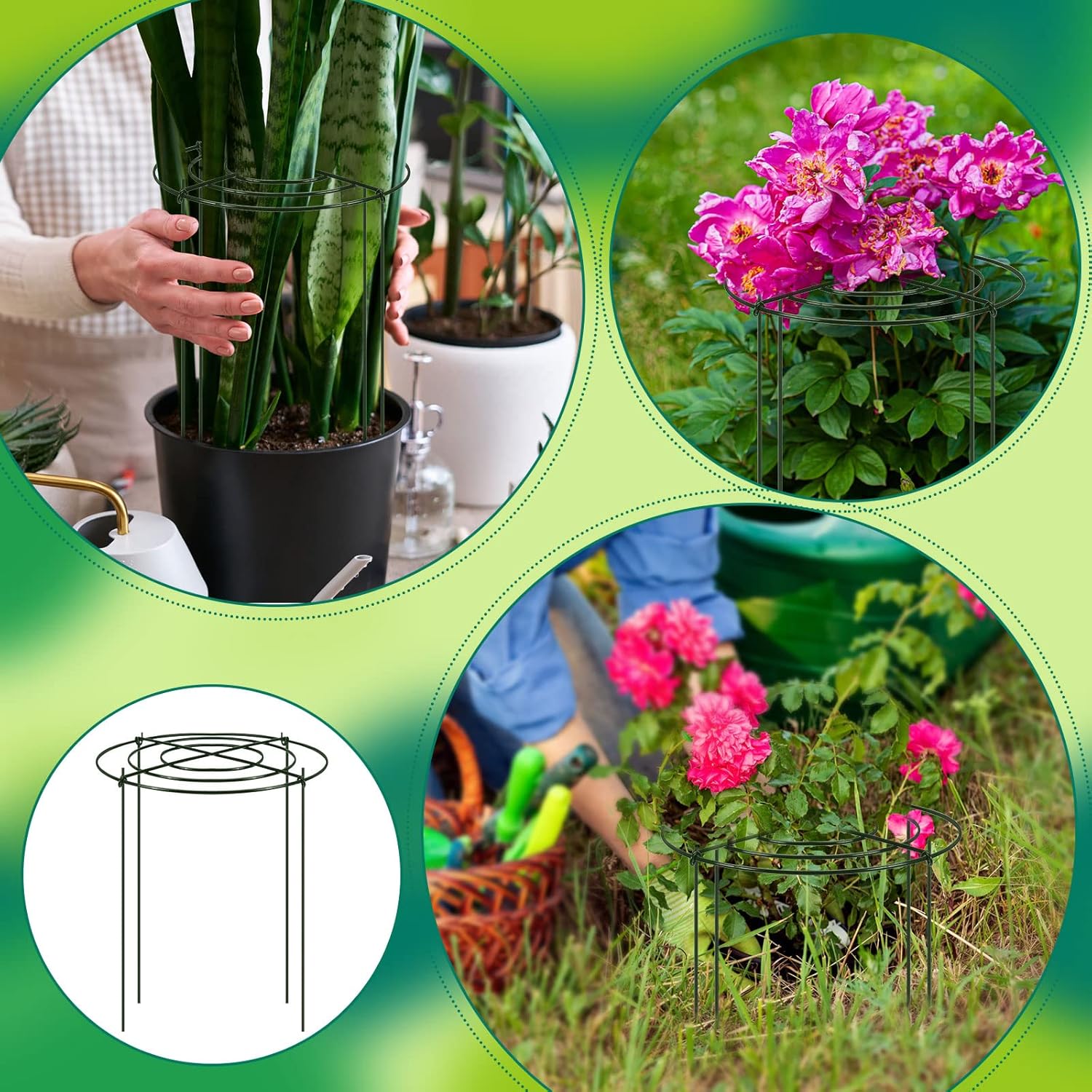Geelin 15 Pack Peony Cages and Supports 12 x 16 Inch Grow Through Metal Plant Supports Frame Rings Hoops for Outdoor Plants Peony Flowers Tomato Rose