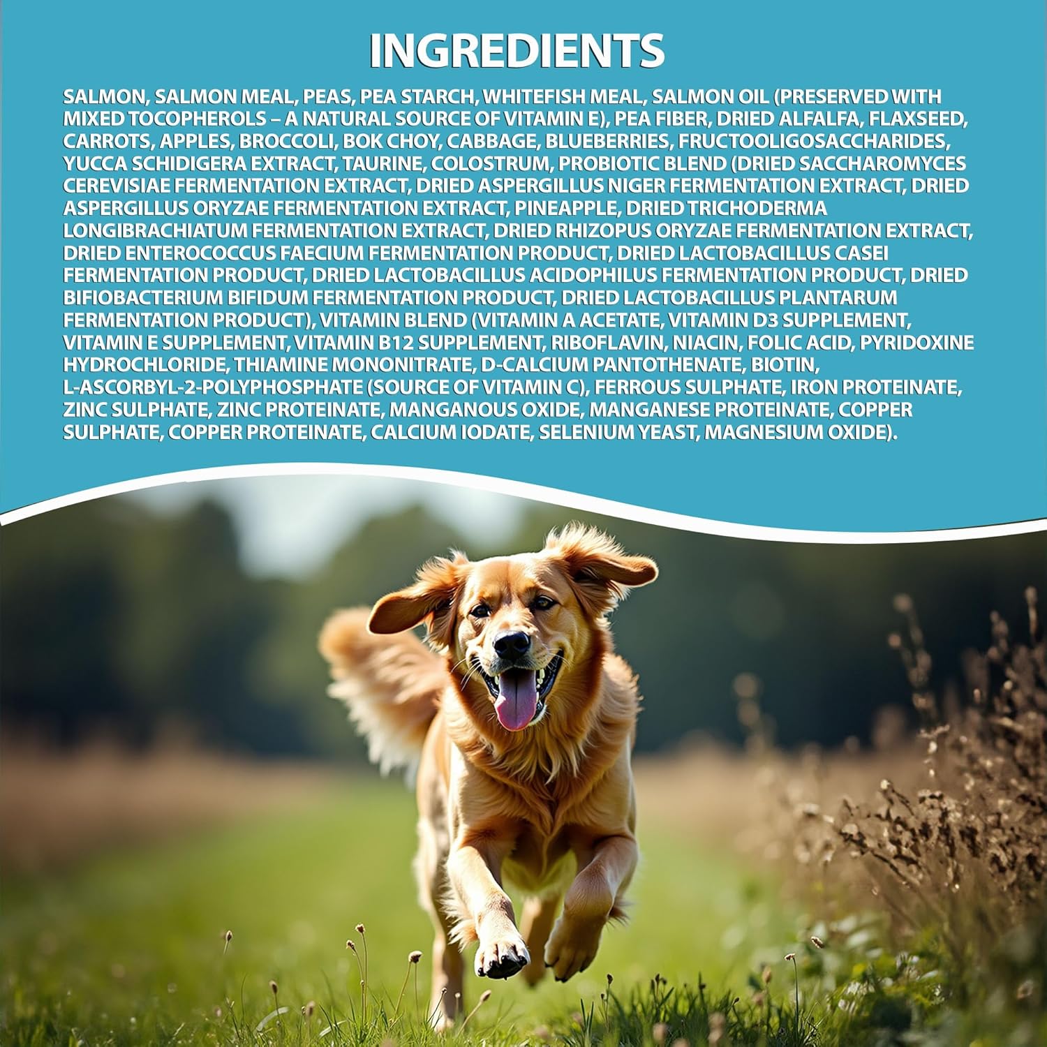 Legacy with Salmon All Life Stage Grain Free Dry Dog Food - 25 lb Bag, Natural (HRN-024)