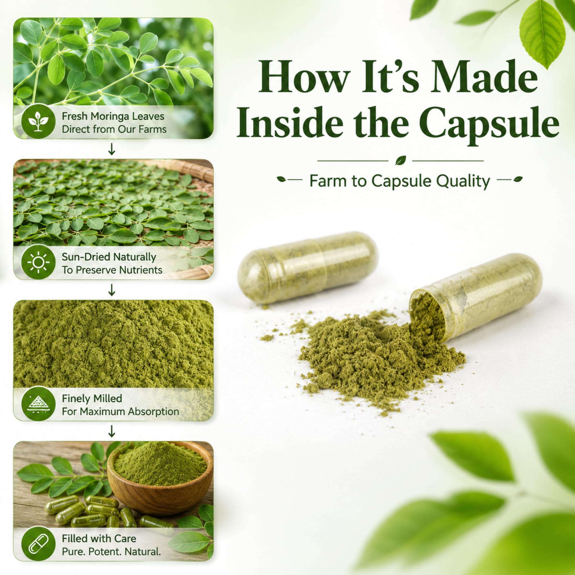 Organic Moringa Capsules 800mg, 3rd Party Tested & Non-GMO, 120 Count — Amazon image 5