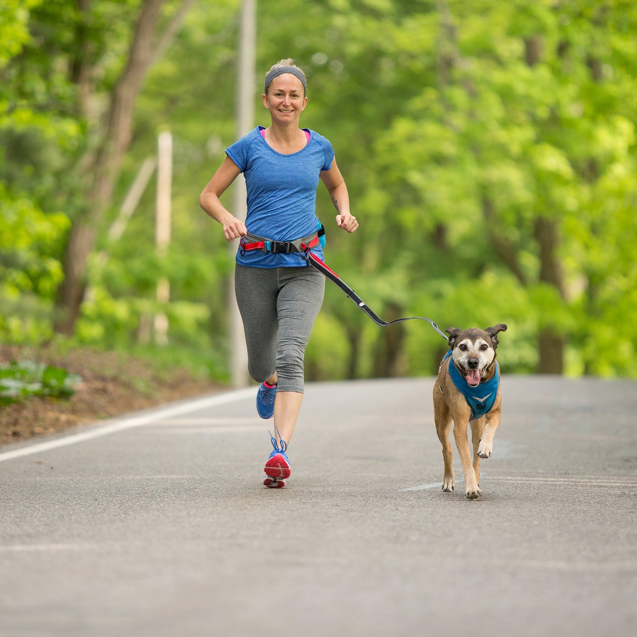Petsafe Fuente de Agua para perros y gatos Drinkwell de múltiples niveles