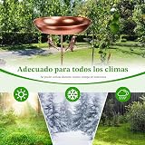 Ver la foto 6