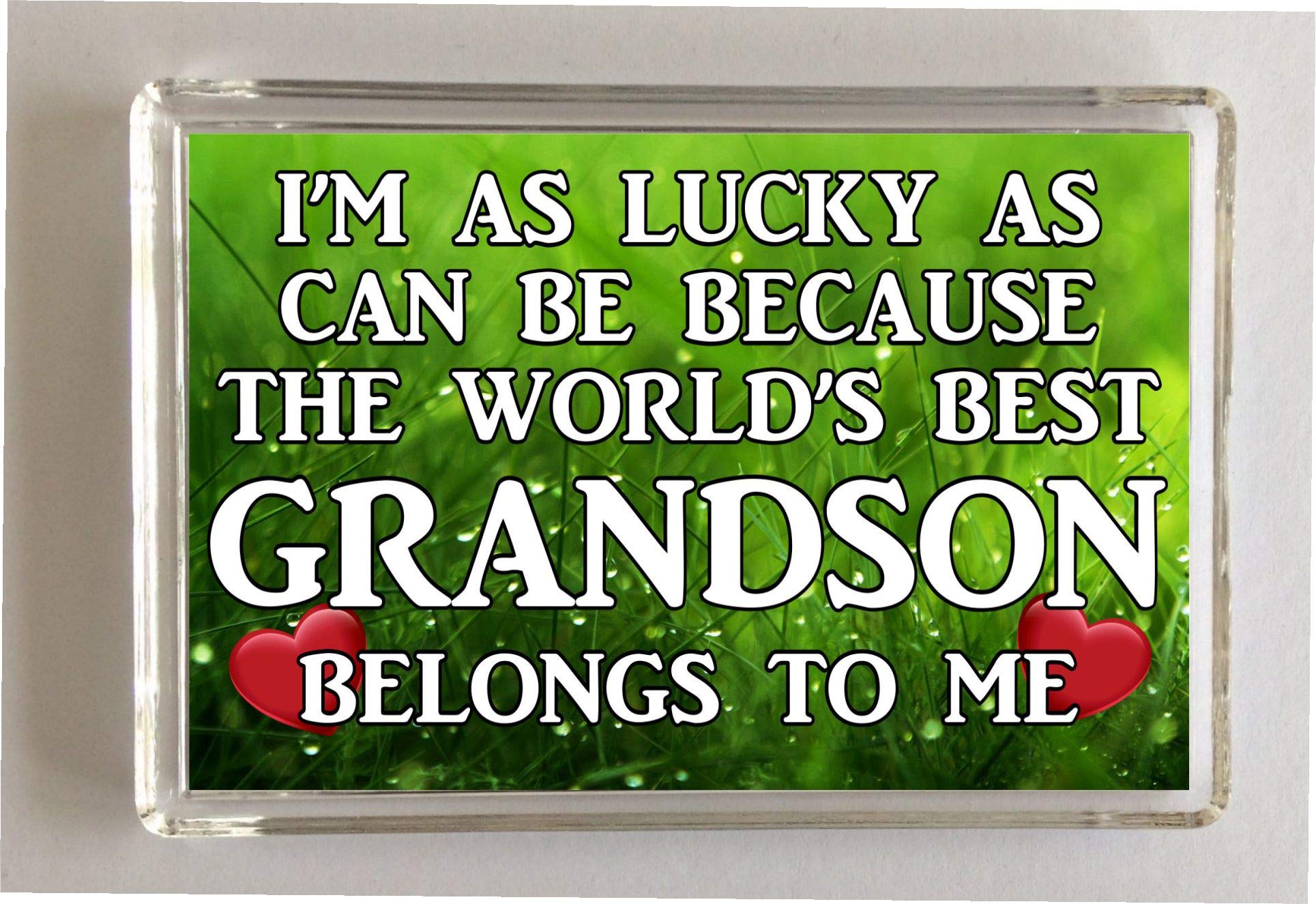 Decalarama Clear Grandson Fridge Magnet – I'm As Lucky As Can Be The Worlds Best - Novelty Gift Present