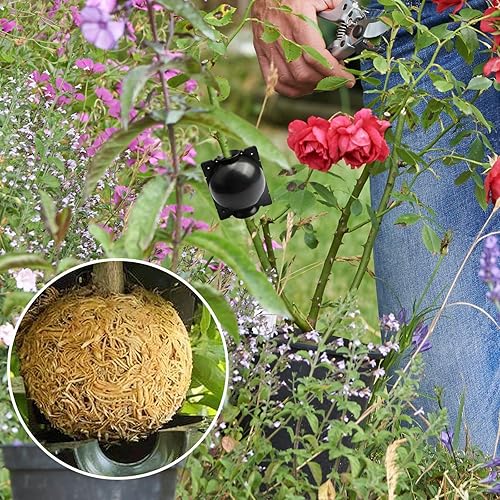 Miniatura 8 de Caja de cultivo de raíces de plantas, kit de propagación de capas de aire reutilizable, herramientas de injerto de bolas de enraizamiento de