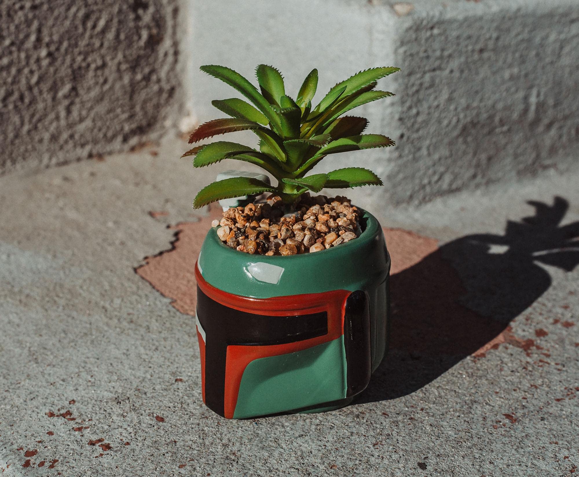 spike dracaena Dracaena- Spike Southern Splendor (Cordyline) – The Greenery Garden Centre main image 1