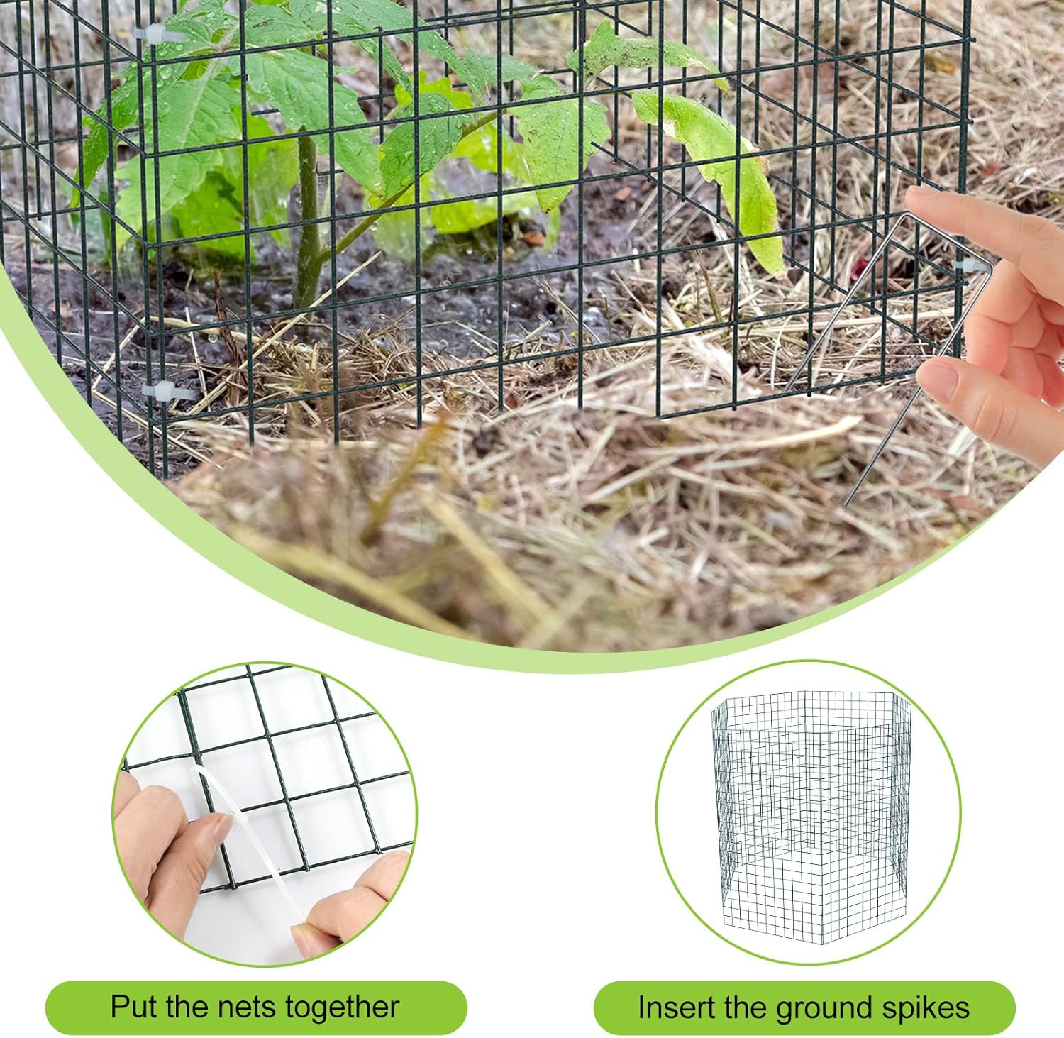 6 Pcs 6-Sided Large Wire Plant Protectors 12 x 24 Inch Bush Protectors Chicken Plant Protectors from Animals Mesh Plant Cage for Plants and Shrubs with Ground Stakes and Nylon Ties (6, 12 x 24 Inch)