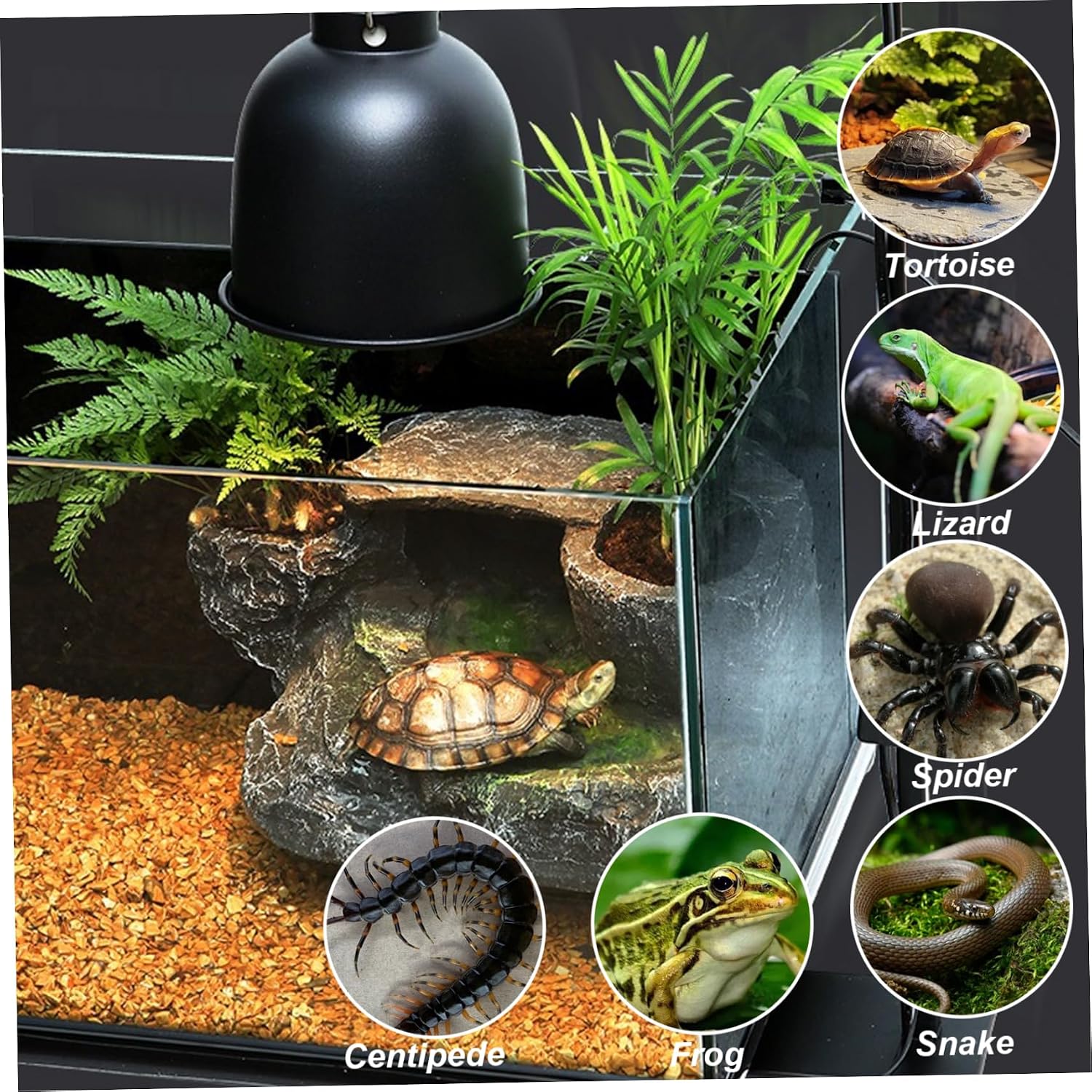 Reptile Lamp Stand Detachable & Extendable Metal Aquarium Light Riser with Hook and Stand Width Height Adjustable for Amphibian Terrarium Aquarium Tank