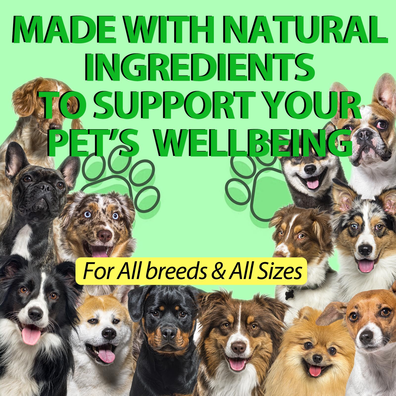Antibióticos naturales para perros, 2 unidades, antibióticos para perros para apoyar el sistema inmunológico y el alivio de la alergia, sin aditivos artificiales