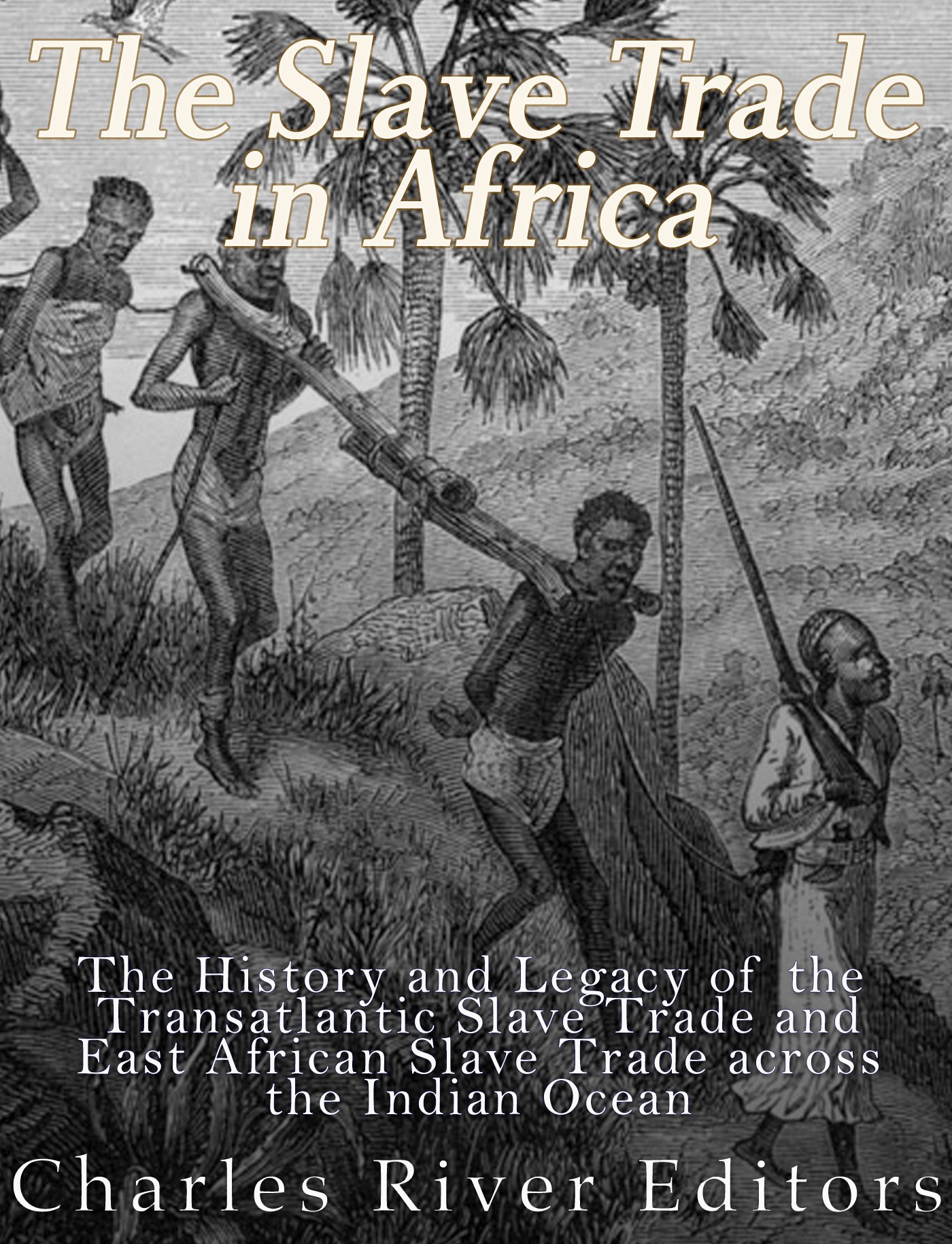 Buy The Slave Trade in Africa The History and Legacy of the
