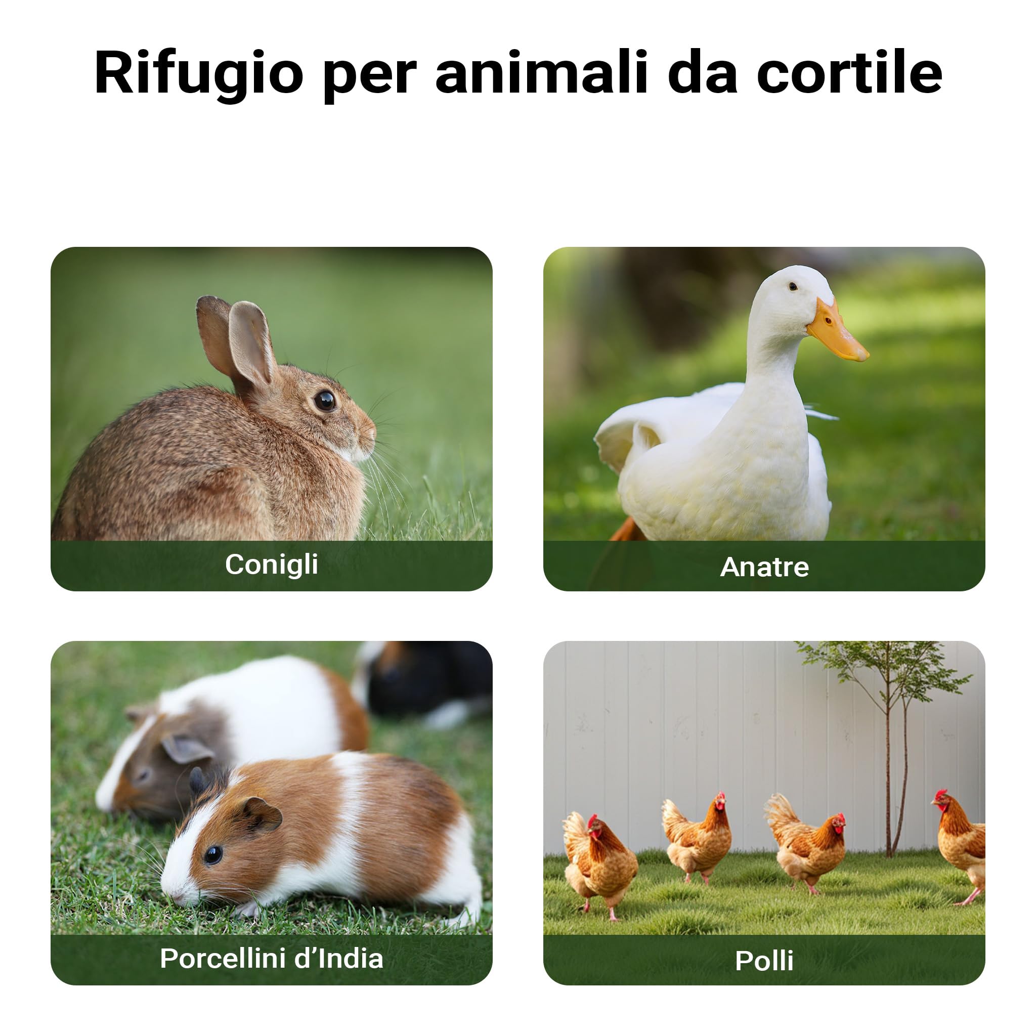 Conigliera a 2 livelli con recinto, legno di abete rosso, Stalla per conigli lepri