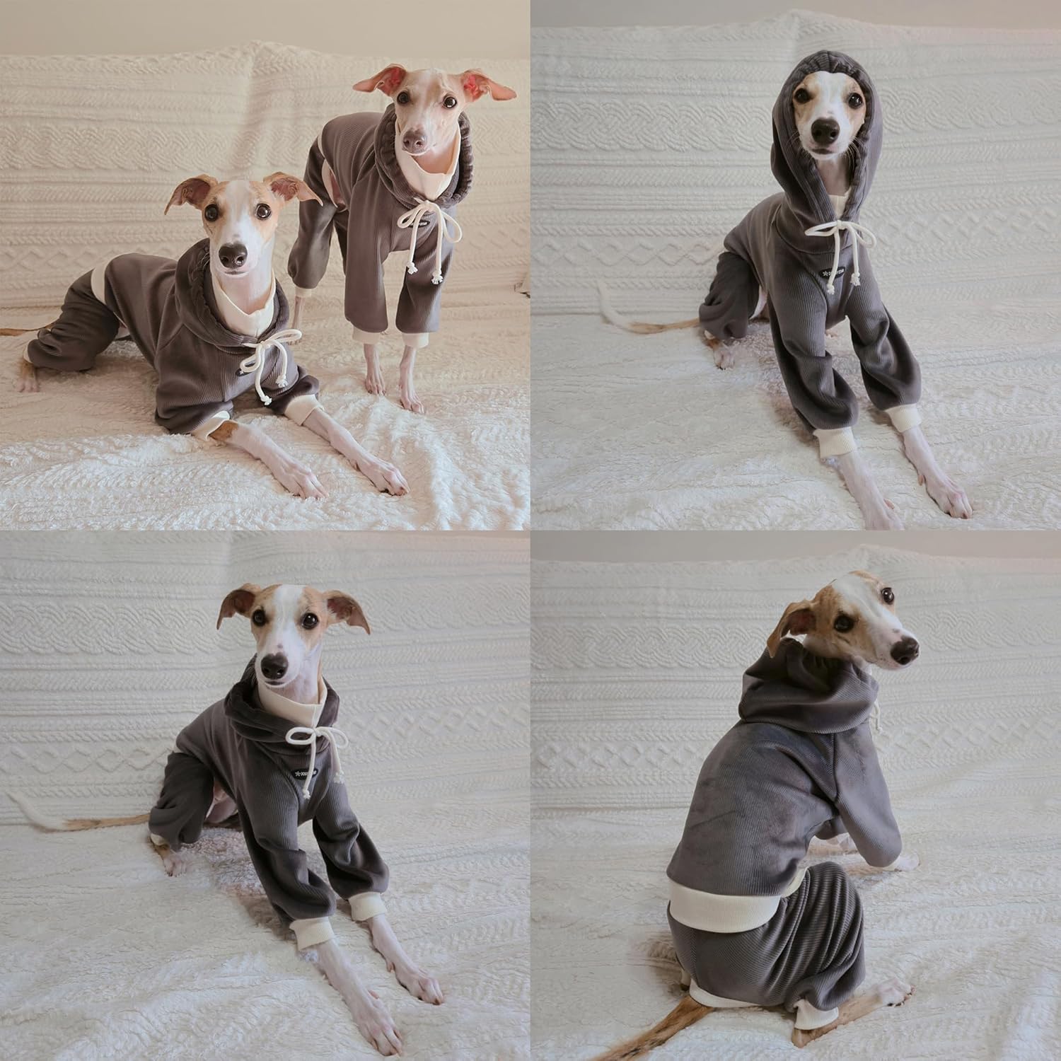 D Doggy Star Italian Greyhound Clothes, Corduroy Velvet Hooded Jumpsuit, Stretchy and Cozy (3XL,Hoodie Charcoal)