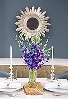 Vista 4 de Kabloom 10 Tallos Blue Valentine Dendrobium orquídeas, 2.5 libras