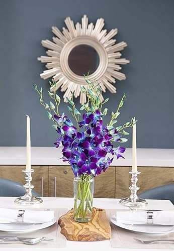 Miniatura 4 de KaBloom Flores - Ramo de orquídeas exóticas de zafiro azul de Tailandia con jarrón - Regalo para cumpleaños, condolencias, aniversario, mejoría,