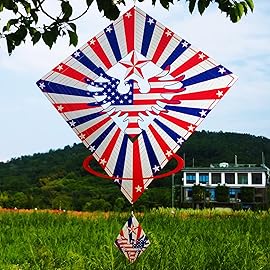 DJUAN 4th of July Decorations,13.5in Stainless Steel Eagle Flag Patriotic Wind Spinner Fourth of July Decor Outdoor,Garden Patriotic Decor Independence Day Decorations Wind Spinners for Yard,Garden