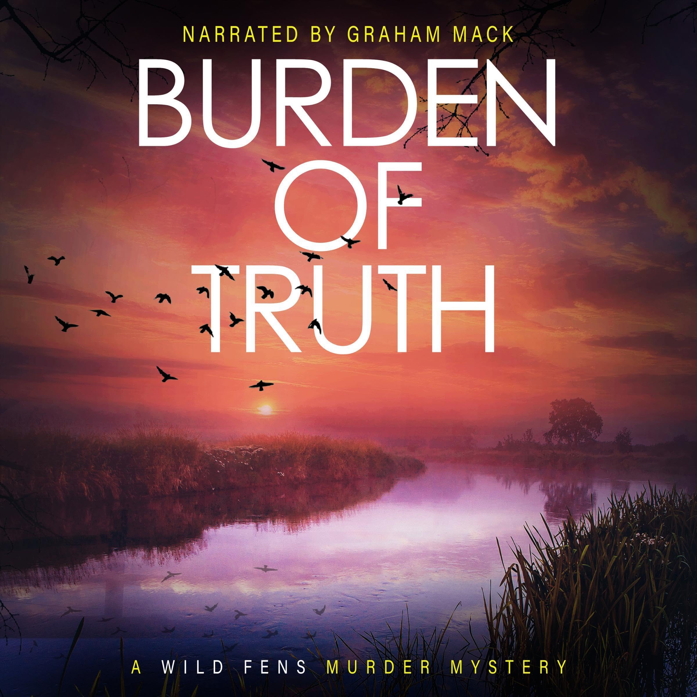 Cover art for Burden of Truth