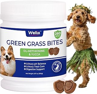 260 Bites Green Grass Bites for Dogs - Grass Savers for Dog Urine, Green Lawn Chews with Crabberry & Probiotic & Digestive Enzymes for Urinary Tract & Bladder - Chicken Flavor