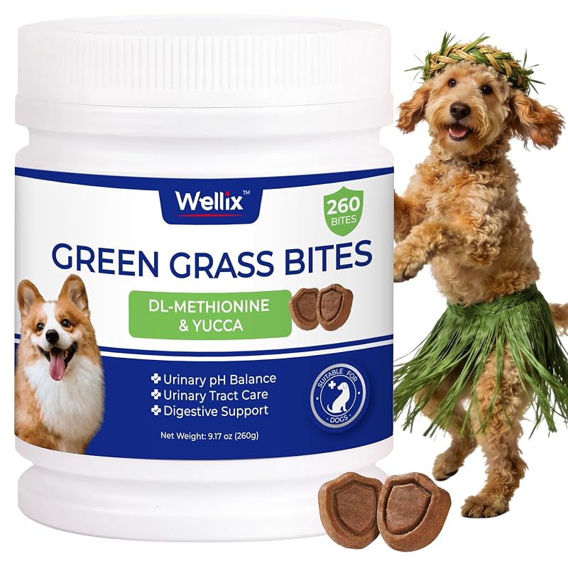 Petisco em grânulos para cães Wellix Green Grass com cranberry e probióticos, 260 g