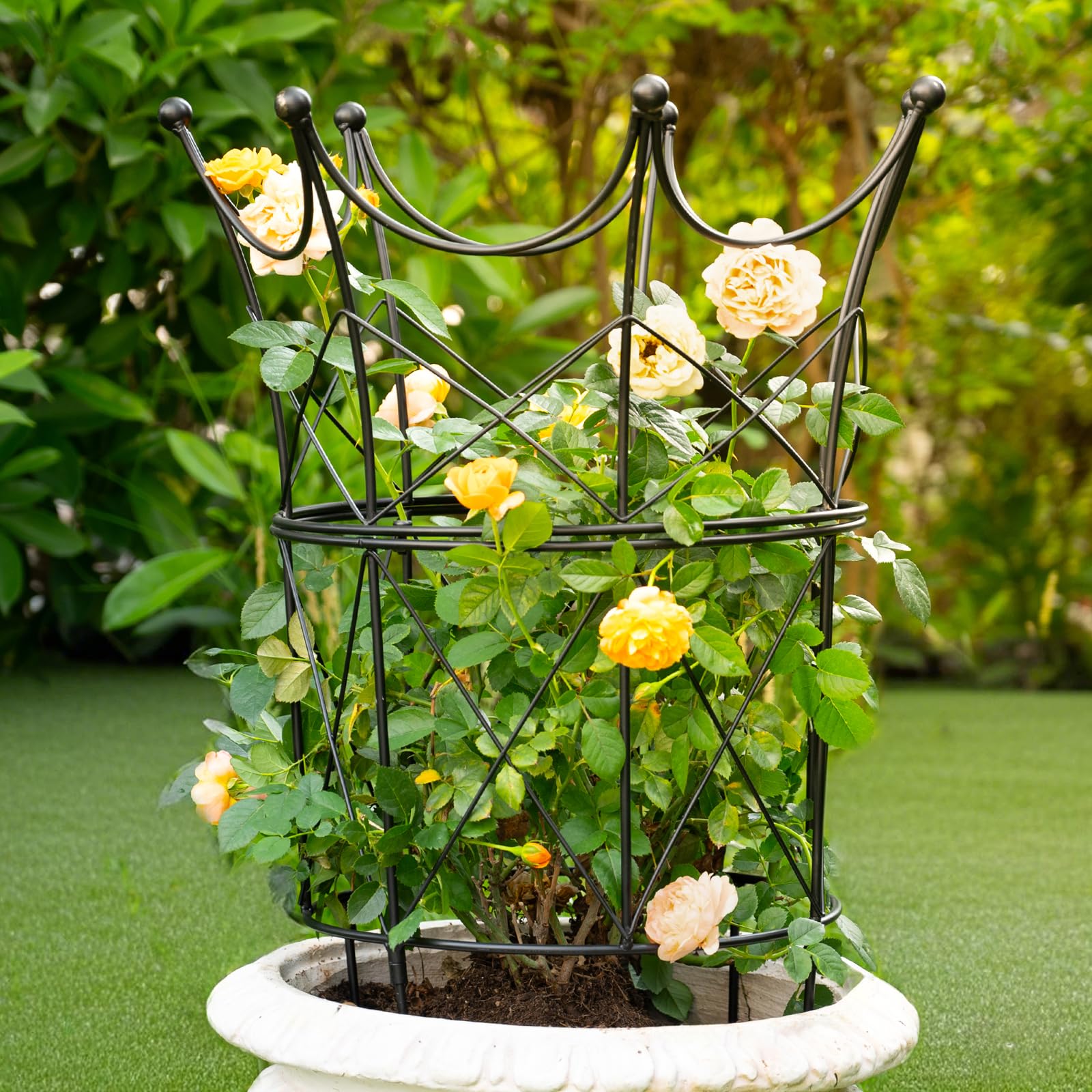 Amazon.com : GOOOXIM Large Obelisk Trellis for Plant Supports 18.5in x  22.9in - Durable Metal Garden Support Cage for Peonies, Ideal for Indoor &  Outdoor Use, Elegant Design, Easy to Install :