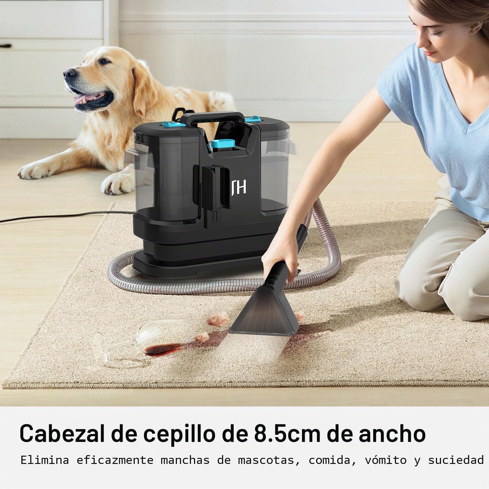 Limpiador de alfombras, limpiador de tapicería, dispositivo con cepillo para pelo de animales y herramienta de limpieza de mangueras para alfombras, sofá, tapicería, escaleras, coche, aspiradora en