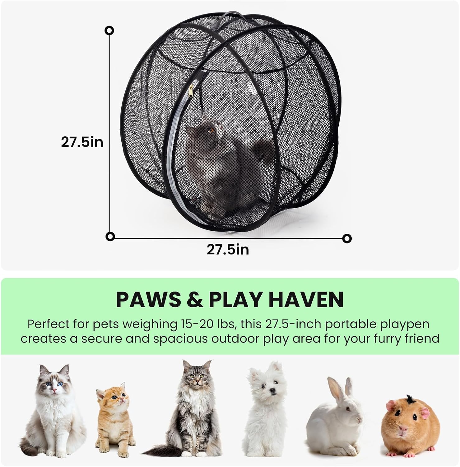 Cat inside roomy mesh playpen