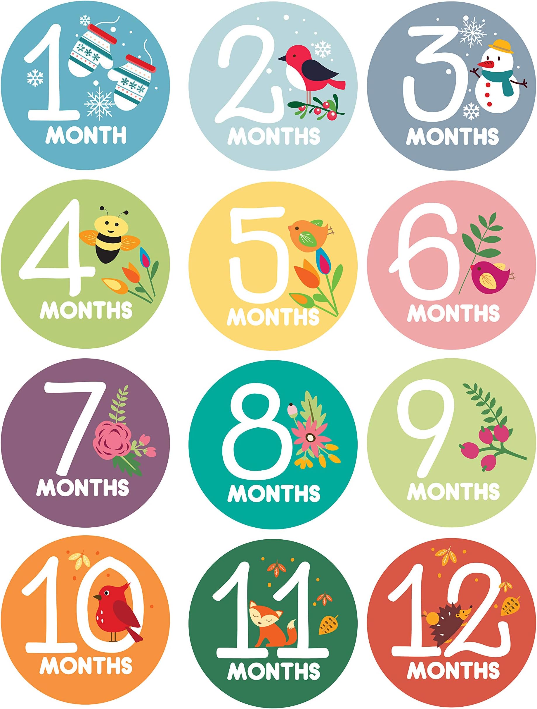 Babytime Monthly Stickers