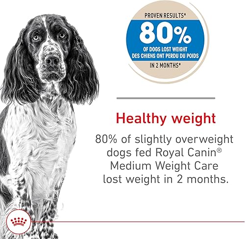 Miniatura 3 de Royal Canin Alimento seco para perros adultos para razas medianas, bolsa de 17 libras