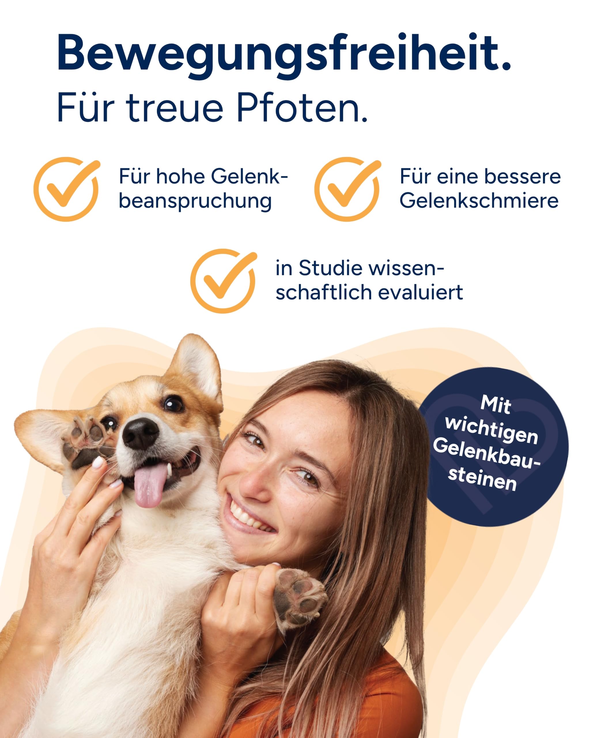 NutriLabs Canicox-HD Gelenktabletten für Hunde 140 Stk. - mit MSM, Chondroitin, Hyaluronsäure, Glucosamin & Teufelskralle - Gesundheitsprodukte für Hunde - Nahrungsergänzungsmittel Hund