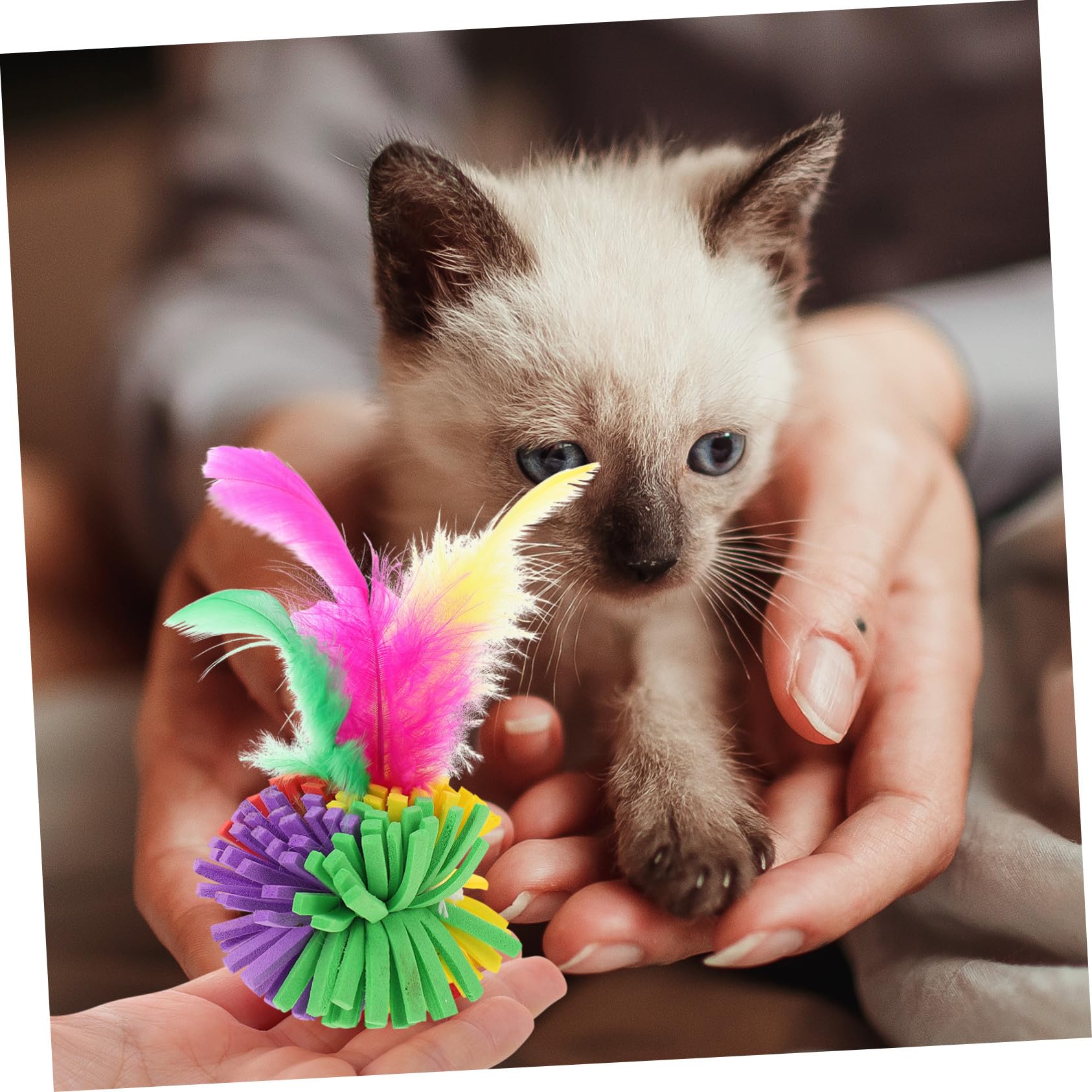Gatuida Lot de 4 Balles à Griffer pour Chat en EVA Plume, Jouet Interactif pour Chat, pour Intérieur