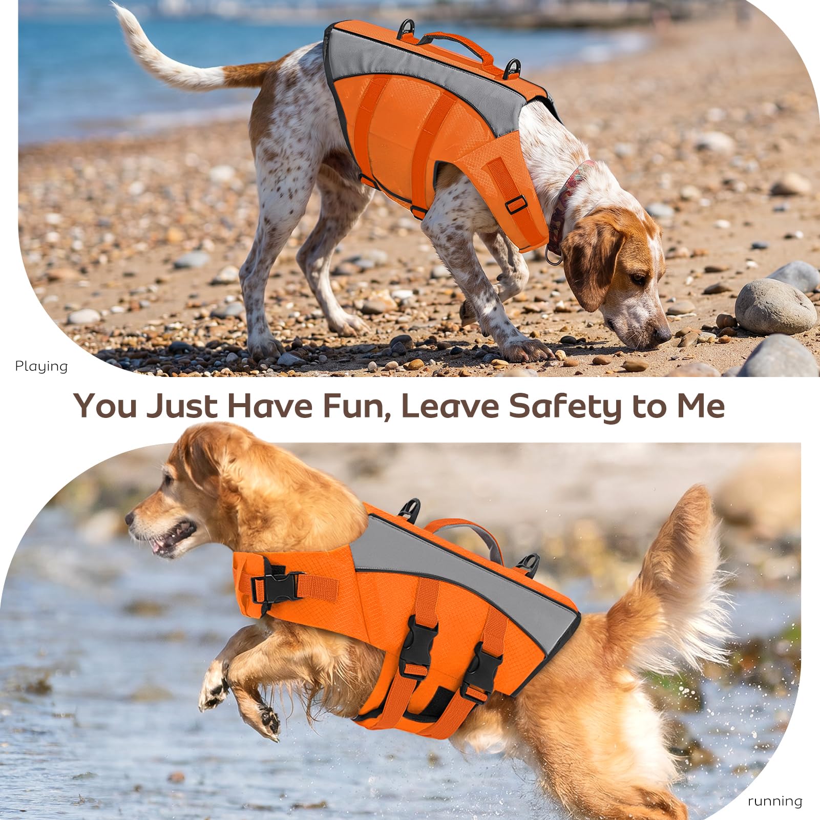 CITÉTOILE Gilet de Sauvetage Chien Veste Flottante Réfléchissante Orange S