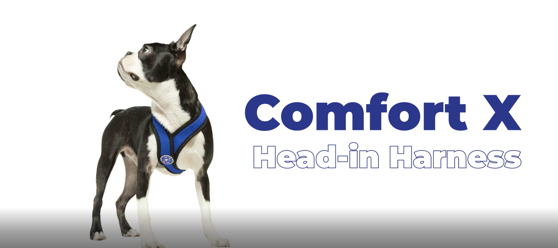 Gooby Comfort X Head in Harness - Red, Medium - No Pull Small Dog Harness, Patented Choke-Free X Frame - Perfect on The… - Image 7