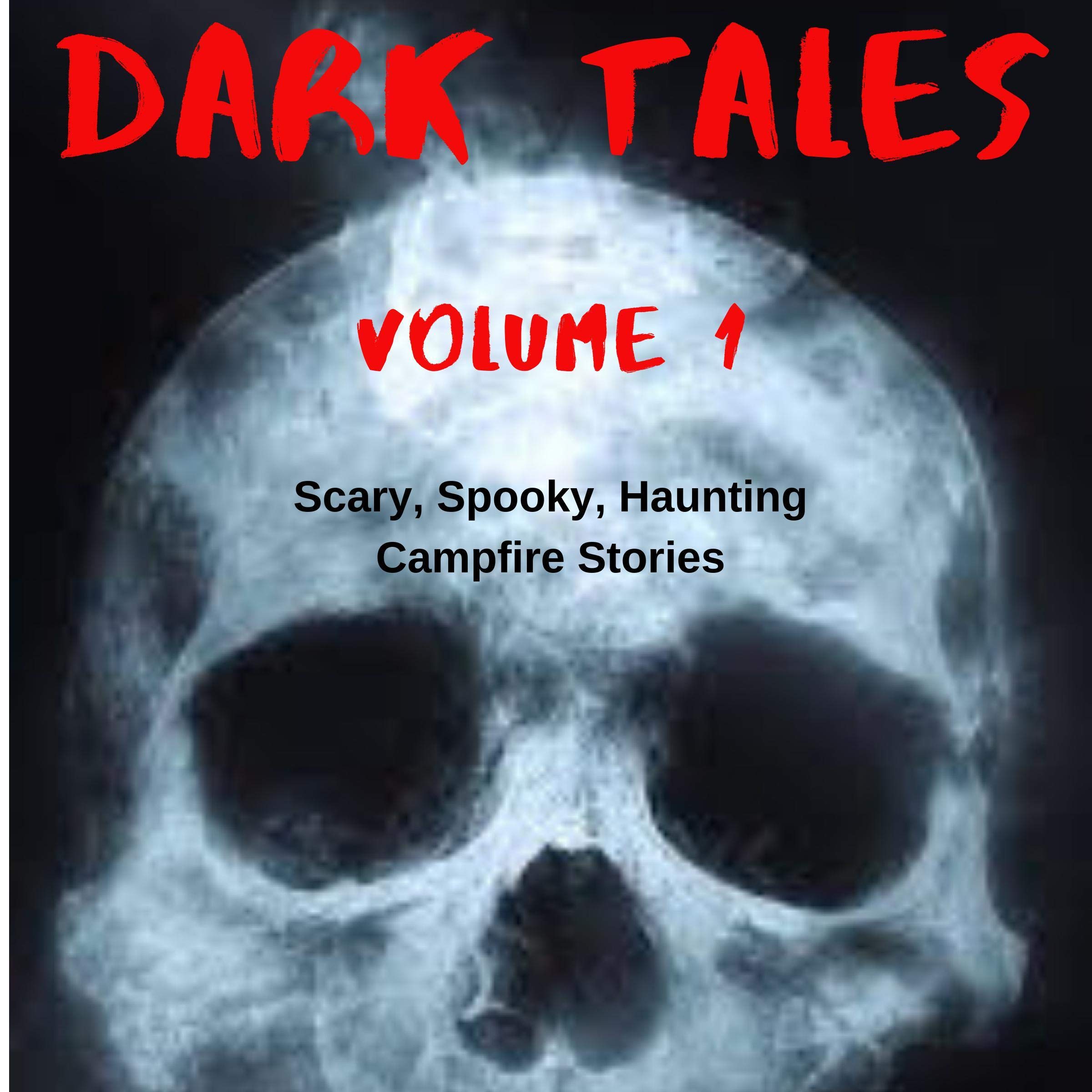 Dark Tales Volume 1: Scary, Spooky, Haunting Campfire Stories