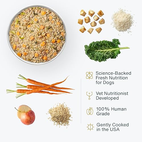 Miniatura 58 de JustFoodForDogs Alimento fresco congelado para perros, comida completa o alimento para perros, receta de alimento humano de carne de res y patata