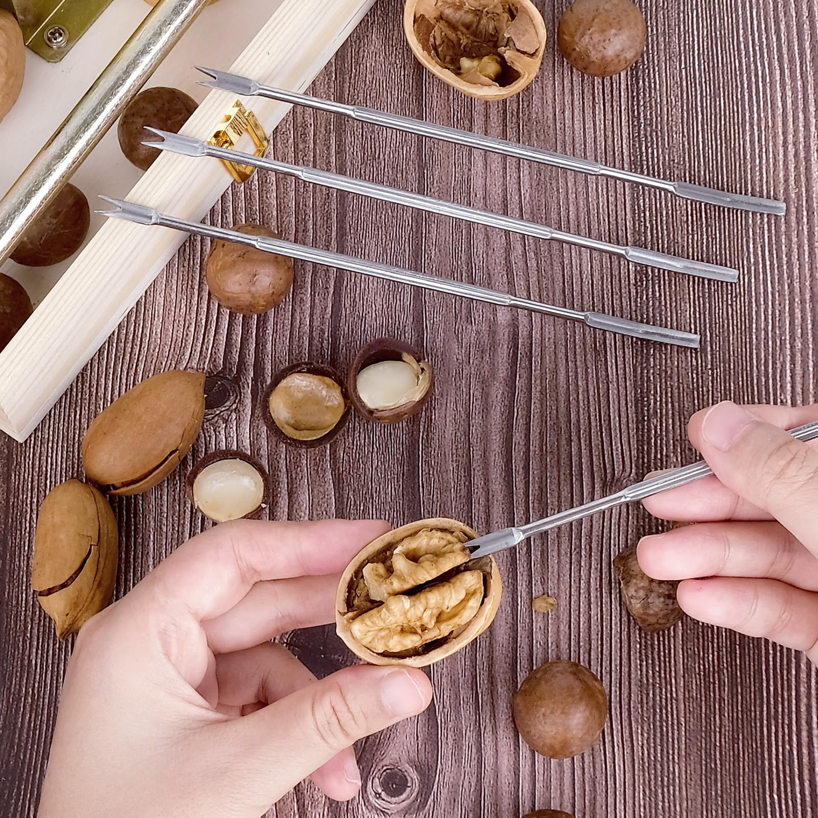 ChromLives Nussknacker Walnussknacker für Alle Nüsse Haselnussknacker Nut-Cracker Nusszange Grönverstellbar mit hölzerner Geschenkbox und Hebel-Funktion für Haselnüsse, Paranüsse, Mandeln, Pekannüsse