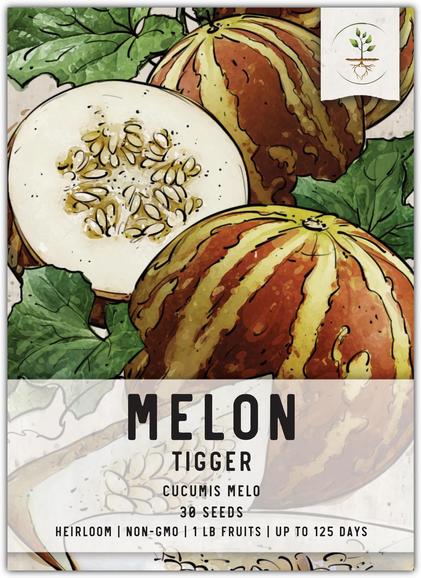 Seed Needs, Tigger Melon Seeds - 20 Heirloom Seeds for Planting Cucumis melo - Produces Small Tiger Striped Fruits, Delicious, Non-GMO & Untreated (1 Pack)