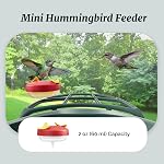 Kiwibit Complete Accessory Kit DIY Add-Ons Including Mini Hummingbird Feeder, 2 Fruit Holders, Jelly Feeder (Smart Bird Feeder NOT Included), Compatible with Kiwibit Bird Feeder