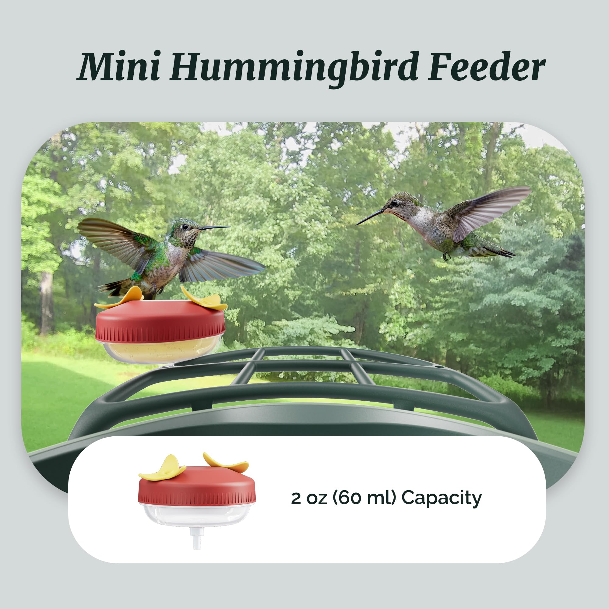 Kiwibit Beako - Kit completo de comedero para pájaros, incluye mini comedero de colibrí, 2 soportes para frutas, comedero de gelatina, compatible con Beako Smart Bird Feeder con cámara para atraer más