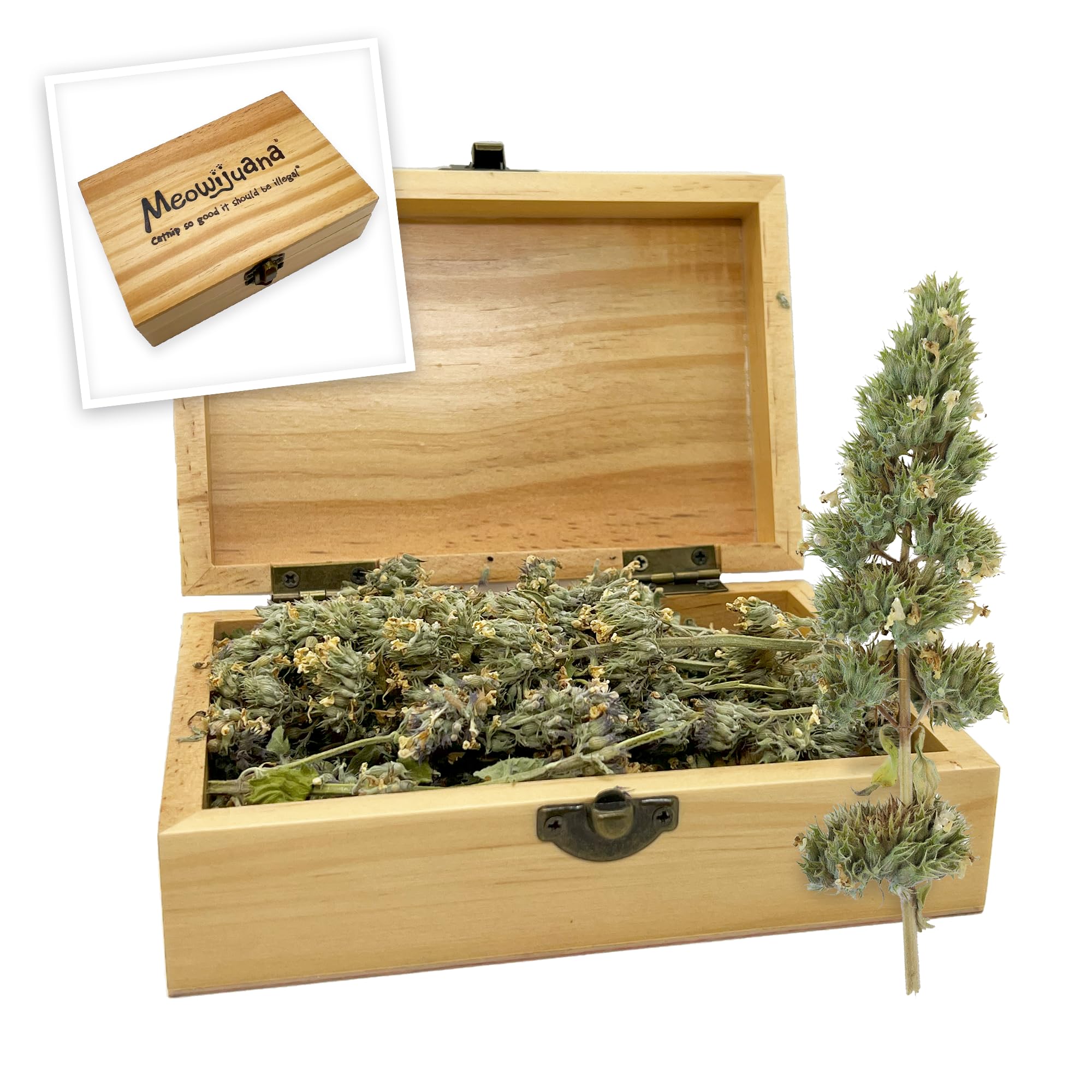 MeowijuanaCigar Box | Grand Daddy Purr Catnip Buds | Premium Organic Catnip | Grown in North America | Perfect for Cat Toys