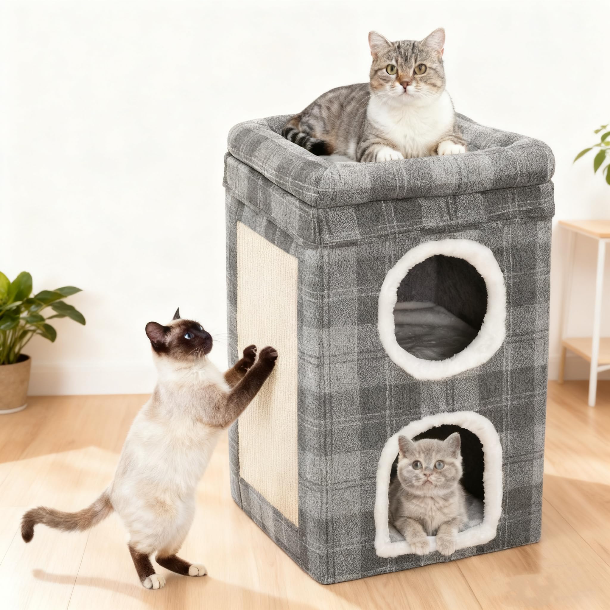 Niche pliable pour chat et cube d'éveil pour le salon des petits chiens