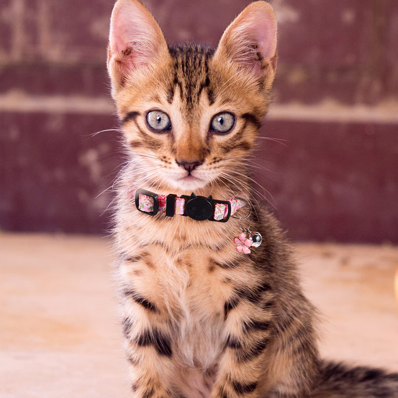 Toddmomy 12pièces Collier pour Chat Floral Accessoire Mignon pour Chaton avec Motif De Fleurs pour Photos Fêtes Et Occasions Spéciales