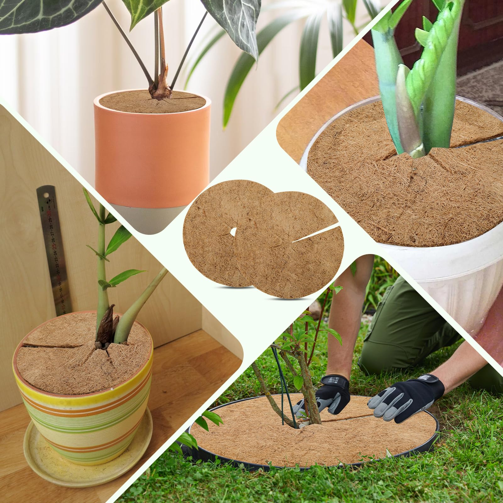 Lot De 20 Chapeaux Pour Plantes Protection IntiMeg - Gamm Vert