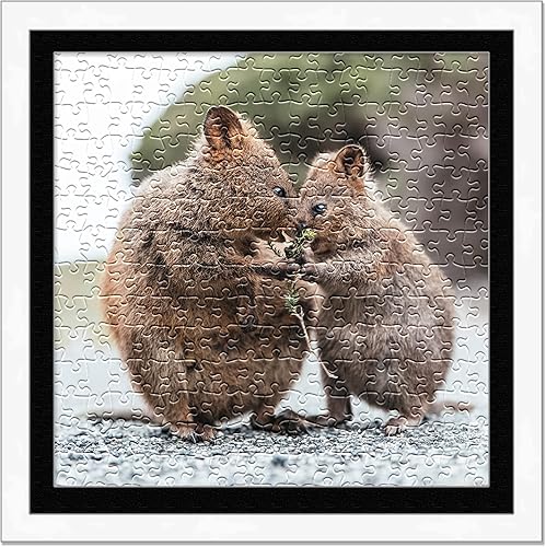 Miniatura 4 de Poster Palooza Marco para rompecabezas de 19 x 19 pulgadas, marco de madera blanca con paspartú (negro) hecho para exhibir rompecabezas de 19 x 19