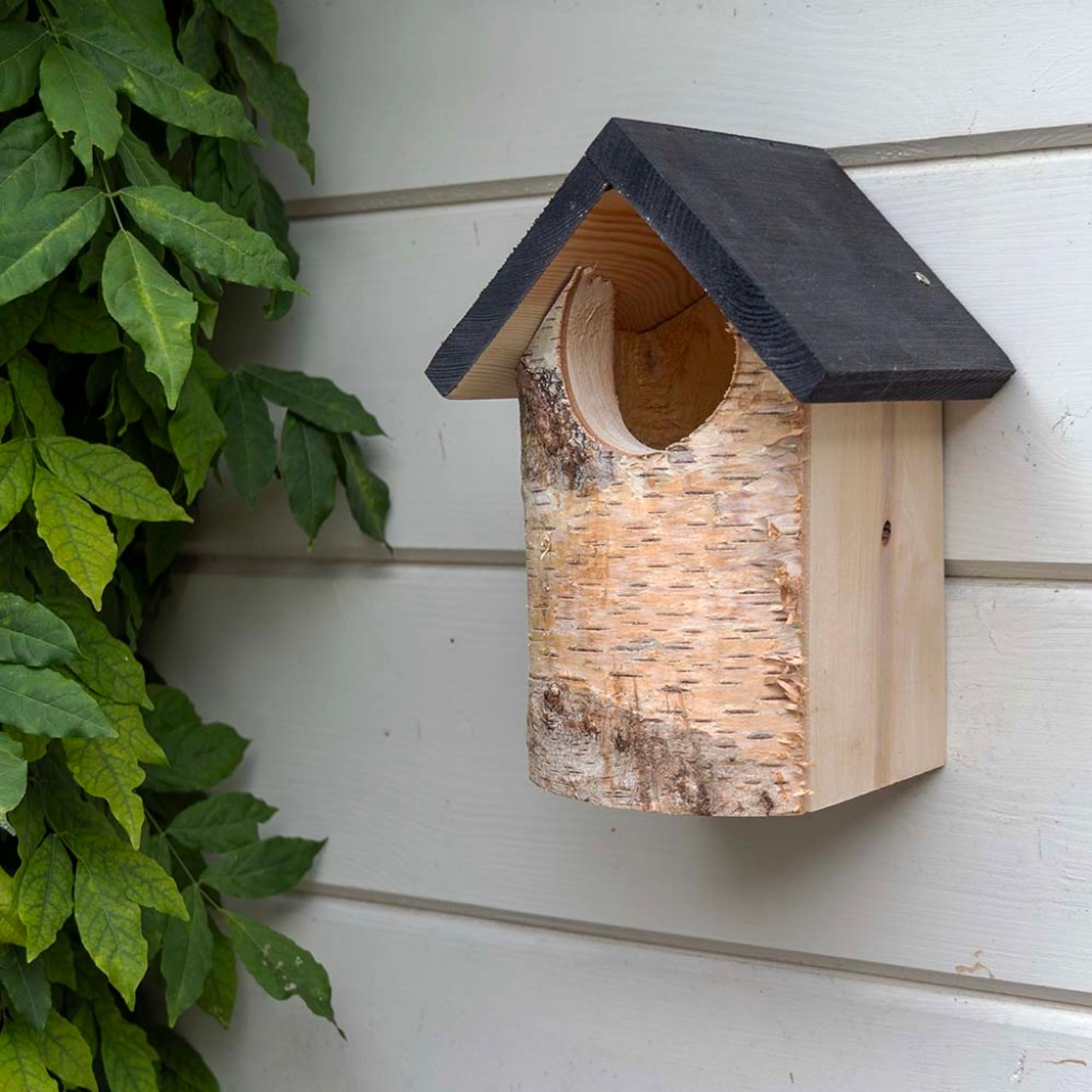 CJ Wildlife Bird Box for Gardens – Bird Nesting Box for Robins and Wrens – Birch Wood with Natural Bark – Eco-Friendly All Year Round Birdhouse