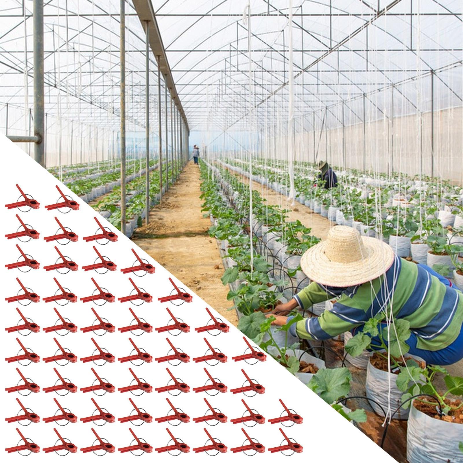 Clips de injerto de plantas, clips de injerto de vegetales | Paquete de 50 abrazaderas de fijación de plantas,Soporte de escalada en la connectas para una enredadera de vegetales, conector de jardiner