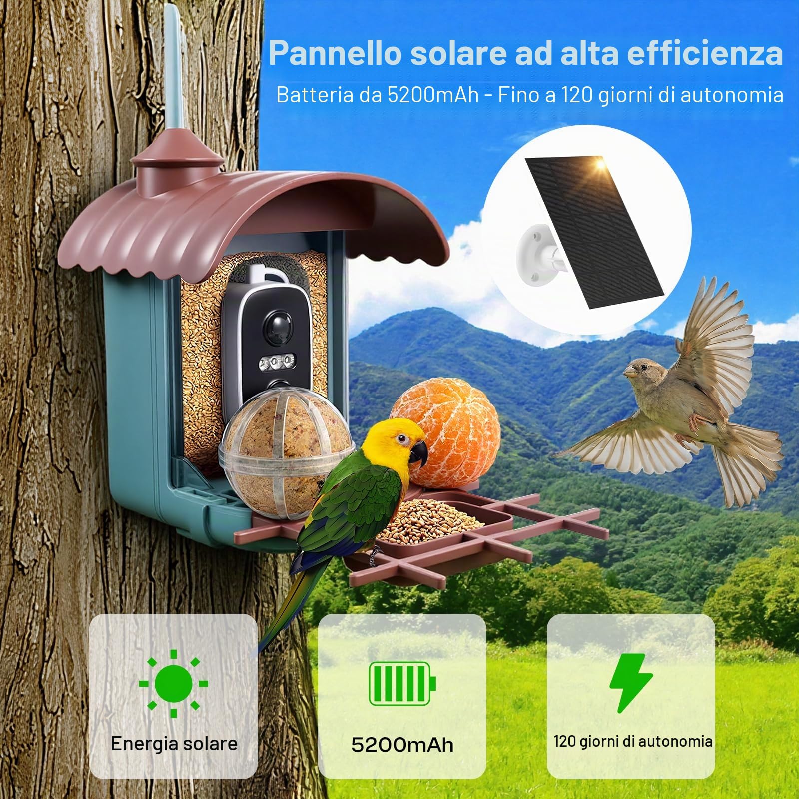 Casetta per uccelli con fotocamera da 4 MP, mangiatoia per uccelli a energia solare, mangiatoia per uccelli, registrazione video/foto, identificazione AI, rilevamento del movimento, notifica