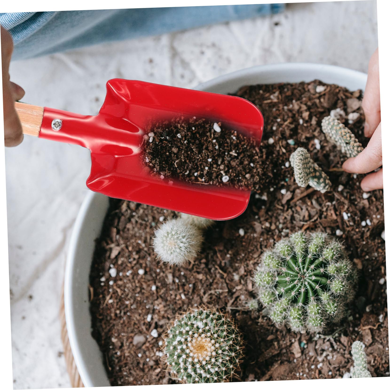 Toddmomy 5 set Piantare Piccole Pale Cazzuola Manuale Per Giardinaggio Ad Alta Resistenza Attrezzi Da Giardinaggio Piccola Vanga Da Giardino Forniture Per Giardinaggio 2 pezzi * 5