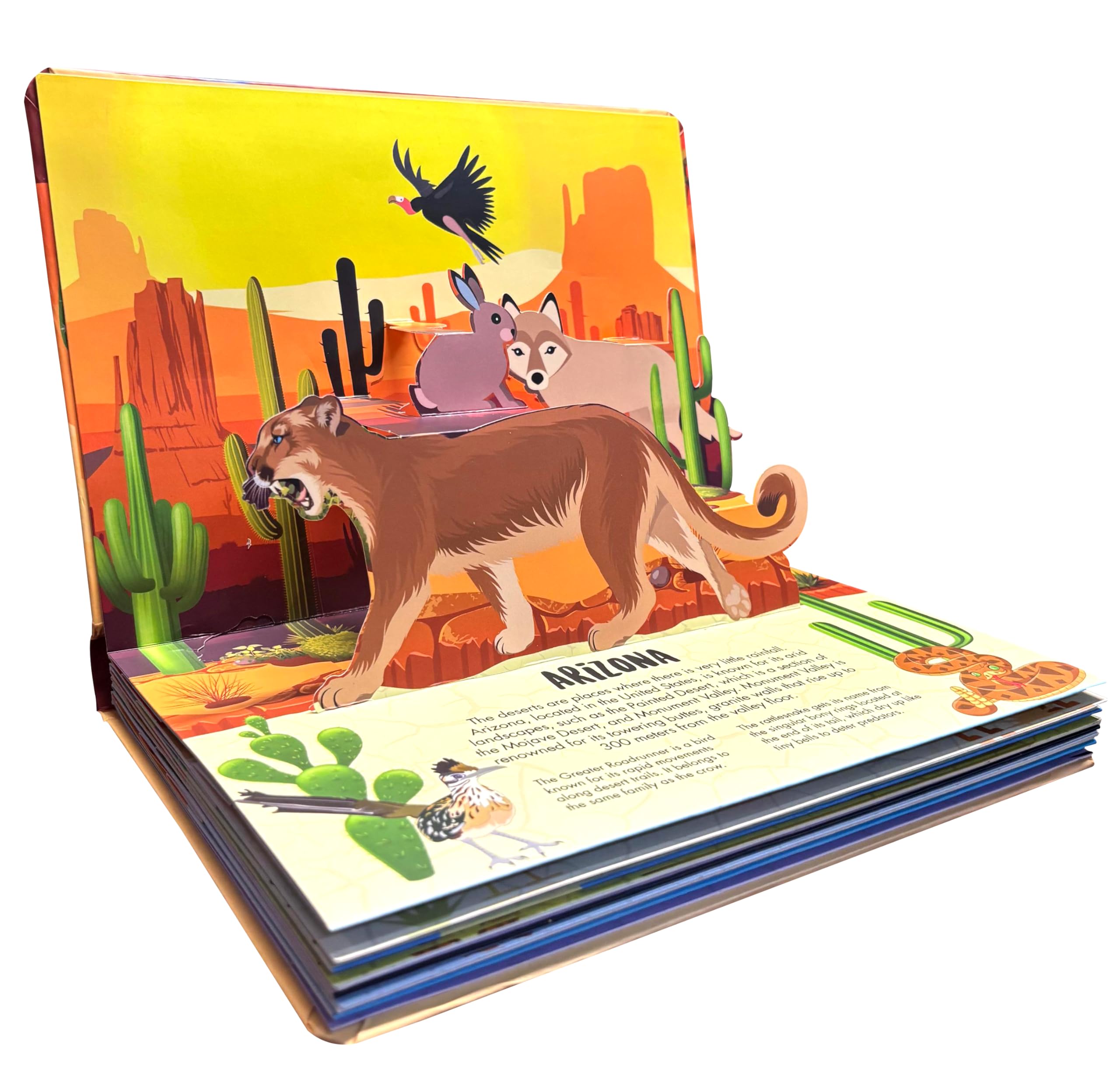 Pop Up Deserts Book for Kids: Interactive Learning with Adventure Pop-Up Scenes | Fun Facts & Surprises Inside | Amazing Animal Life, Habitat & ... | Children’s Nature & Geography Pop-Up Book 4