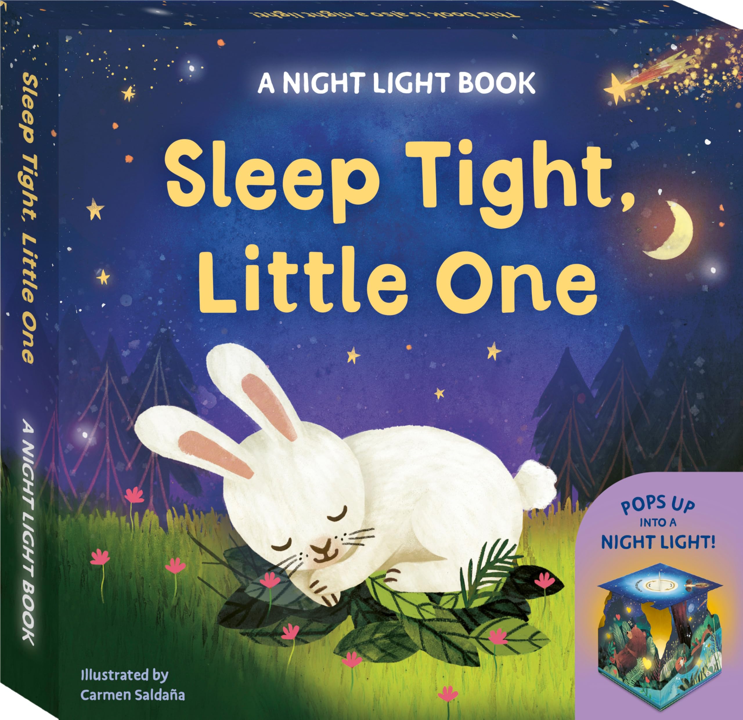 Sleep Tight, Little One by Johnny Barr (Novelty book)
