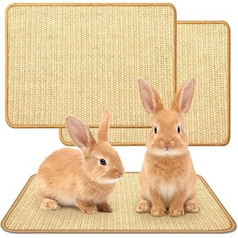 Pack of 2 Rabbit Scratching Mat 40 x 30 cm Sisal Rug for Rodents