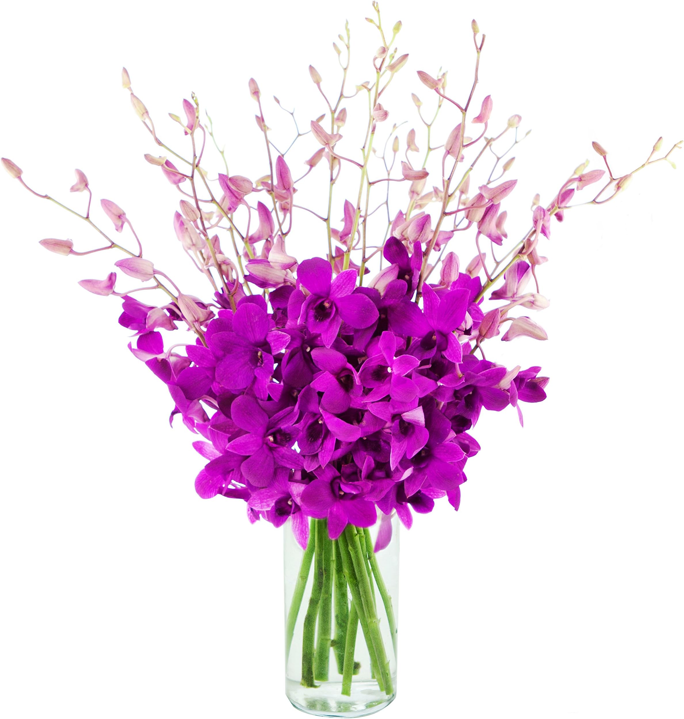 KaBloom The Ultimate Purple Orchid Bouquet of 20 Exotic Purple Dendrobium Orchids from Thailand with Vase
