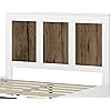 Product Photo 8